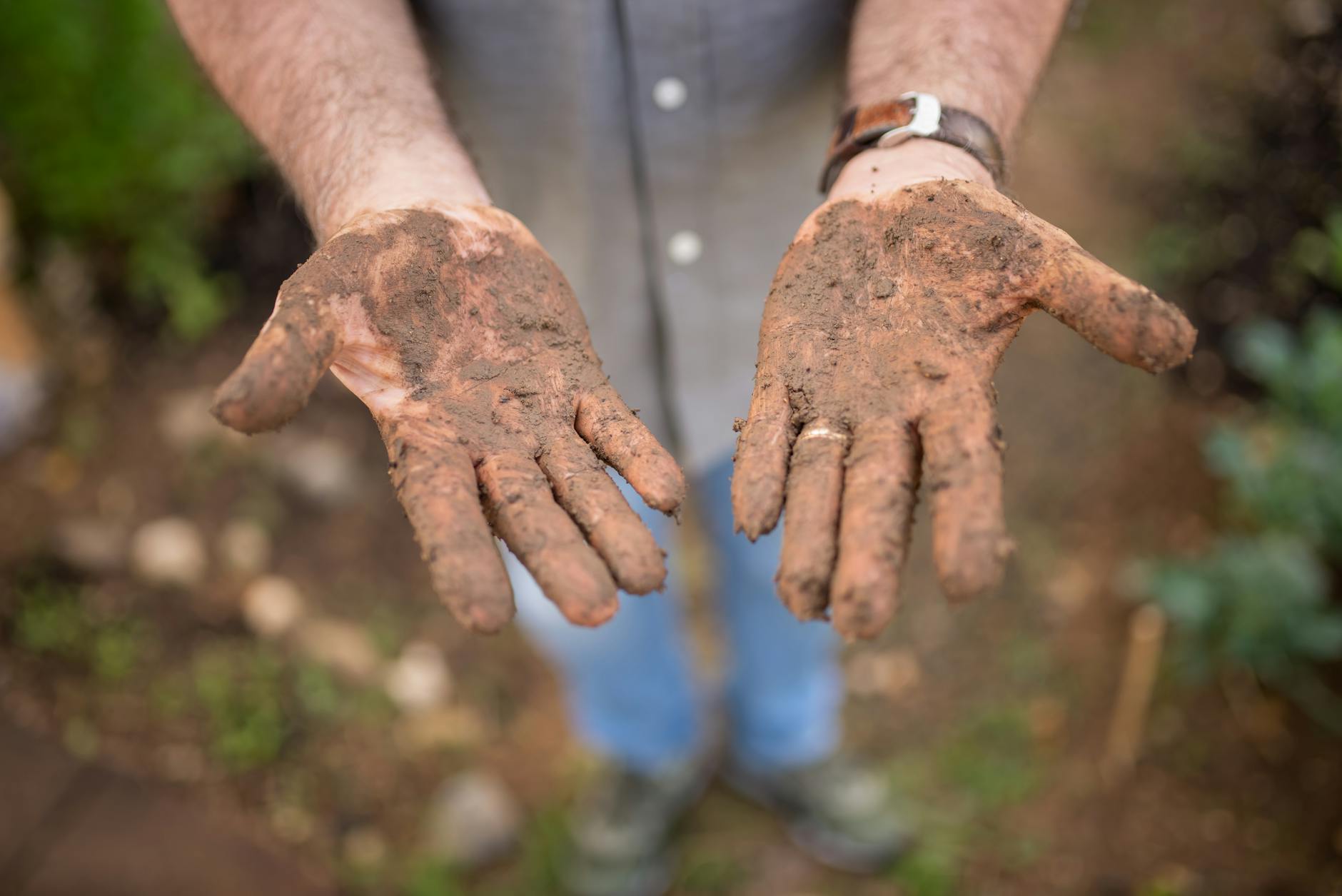Soil fertility management